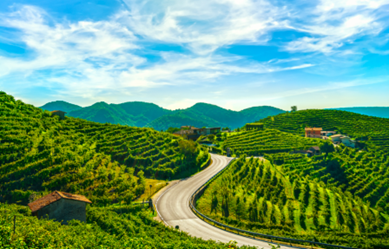 Bürgerreise 2 Bürgerreise 2