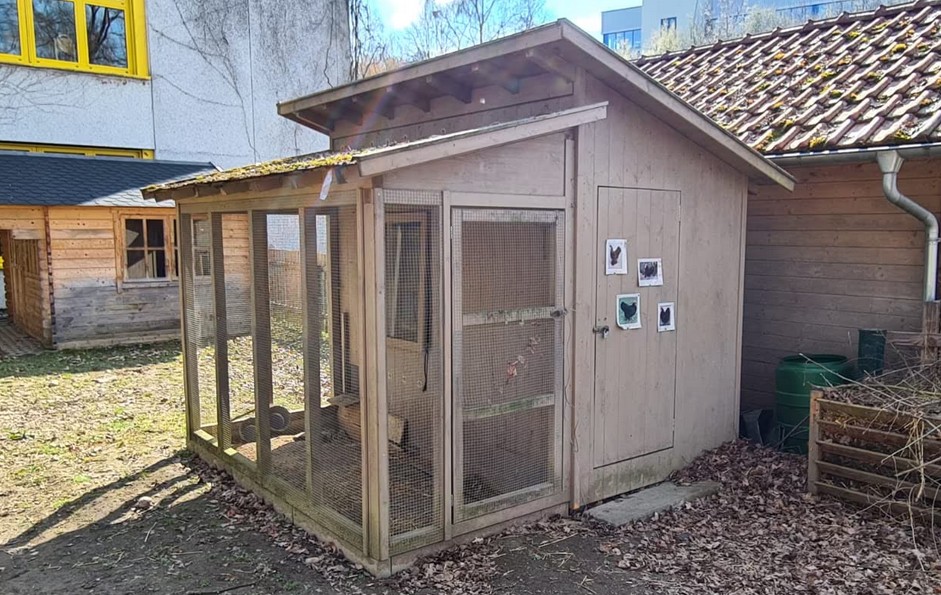 Hühnerstall 1