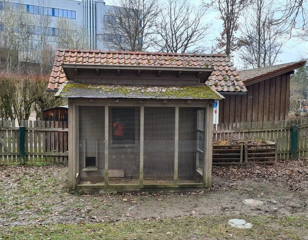 Hühnerstall 3