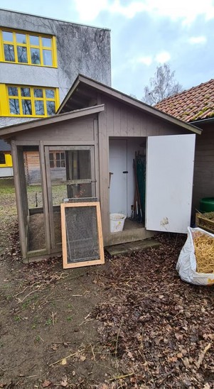 Hühnerstall 3